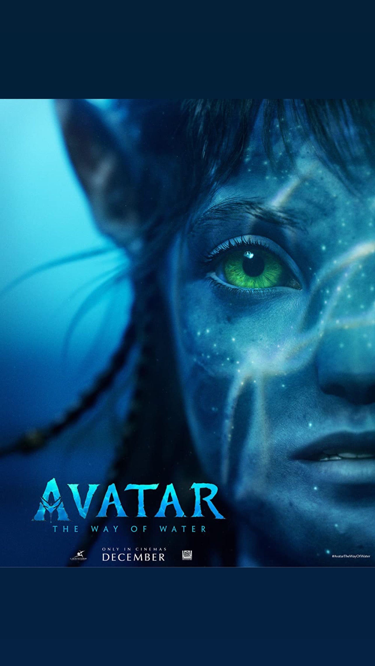 Avatar 2 is Coming: The Rewarding Return of a Revolutionary Franchise